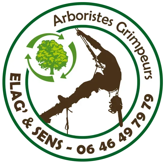 logo elagetsens