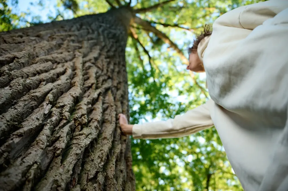 amour arbre